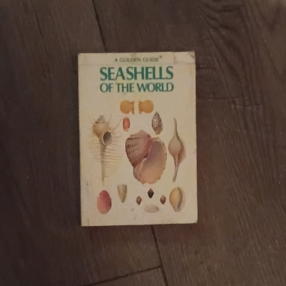 Seashells of the World Guide Book/Nautical/Decor/Collectible